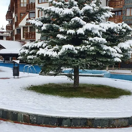 Apartment Elegant Access Premium *