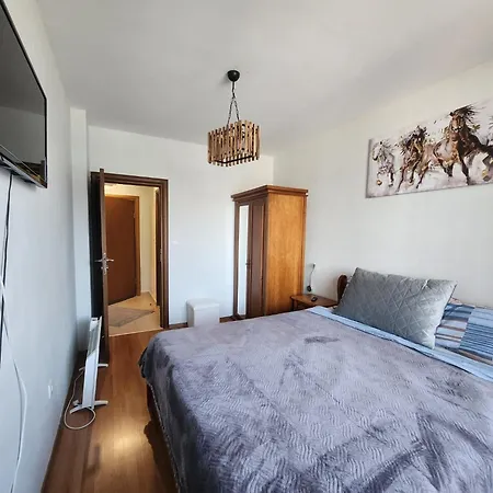 Elegant Access Premium Apartament *